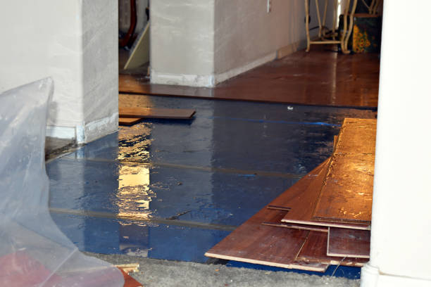 Professional Burst Pipe Cleanup technician working in Tenafly, NJ